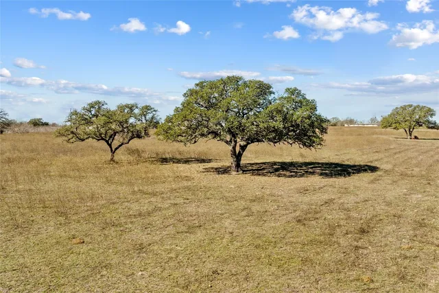 a view of snow in between the field