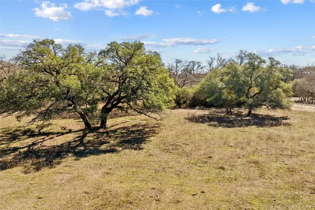 a view of a dry yard with a tree