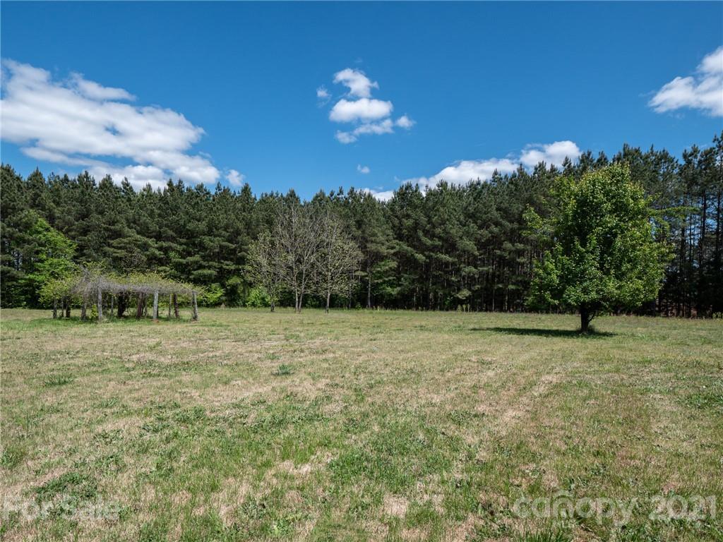 3292 Harmony Road Catawba, SC 29704 - Photo 14 of 20 a backyard of a house with lots of green space
