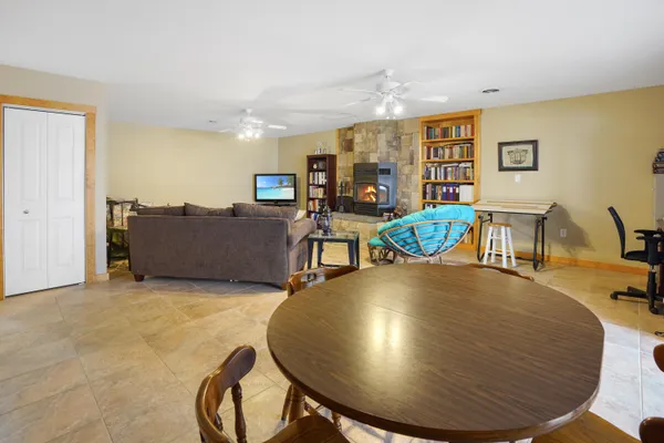 a view of a forest with a tree