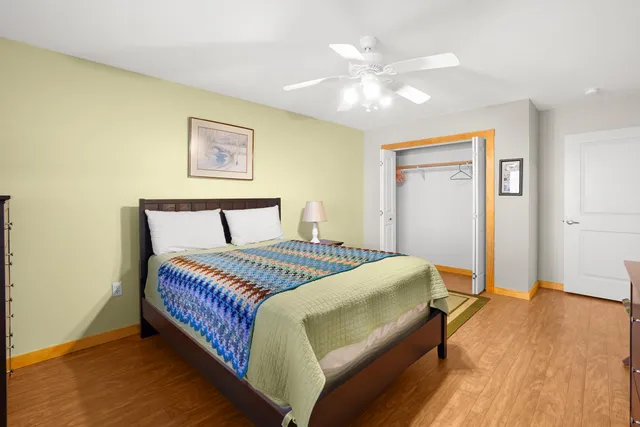 a view of a yard with plants and trees