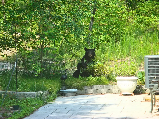 $725,000 | 229 Pine Valley Road, Bassett, VA 24055