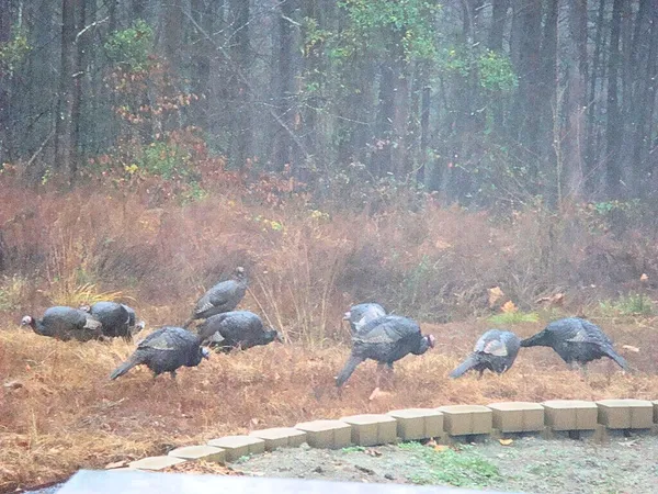 $660,000 | 229 Pine Valley Road, Bassett, VA 24055