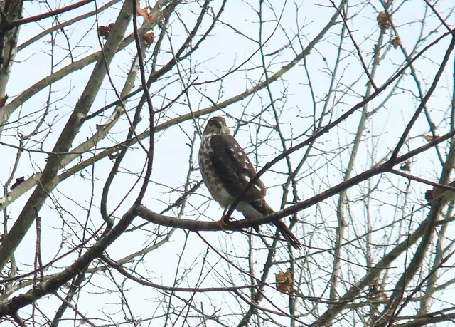 $725,000 | 229 Pine Valley Road, Bassett, VA 24055