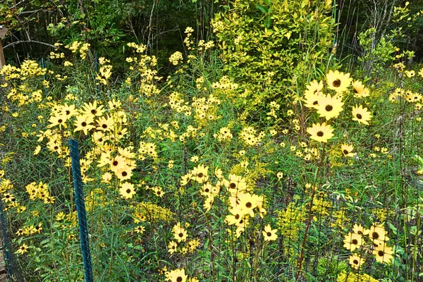 $660,000 | 229 Pine Valley Road, Bassett, VA 24055