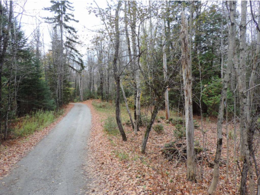 208 Buzzell Road West Morgan, VT 05853 - Photo 14 of 20