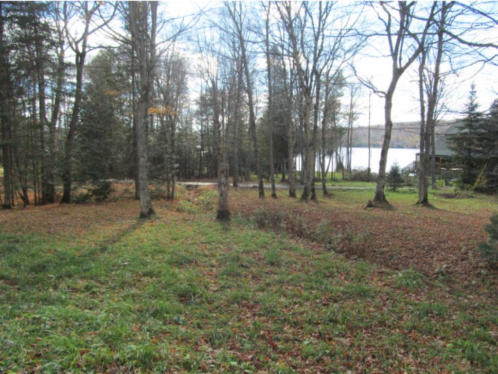 208 Buzzell Road West Morgan, VT 05853 - Photo 17 of 20