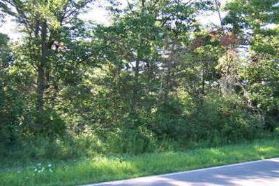 Johnson Road, Unit PAR A Gowen, MI 49326 - Photo 1 of 1 Primary Photo