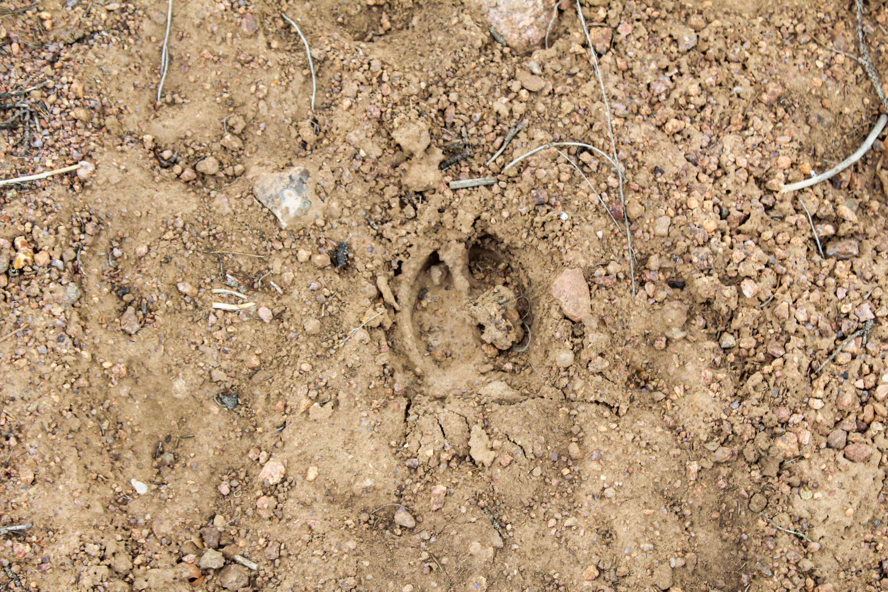 200 County Road Cuba, NM 87013 - Photo 20 of 70 Gallery Image 20