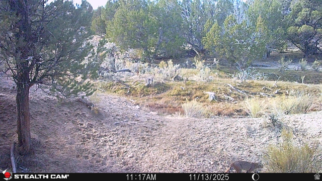 123 Tbd Forest Service Rd 640a (s Salina, UT 84654 - Photo 14 of 69 View of local wilderness