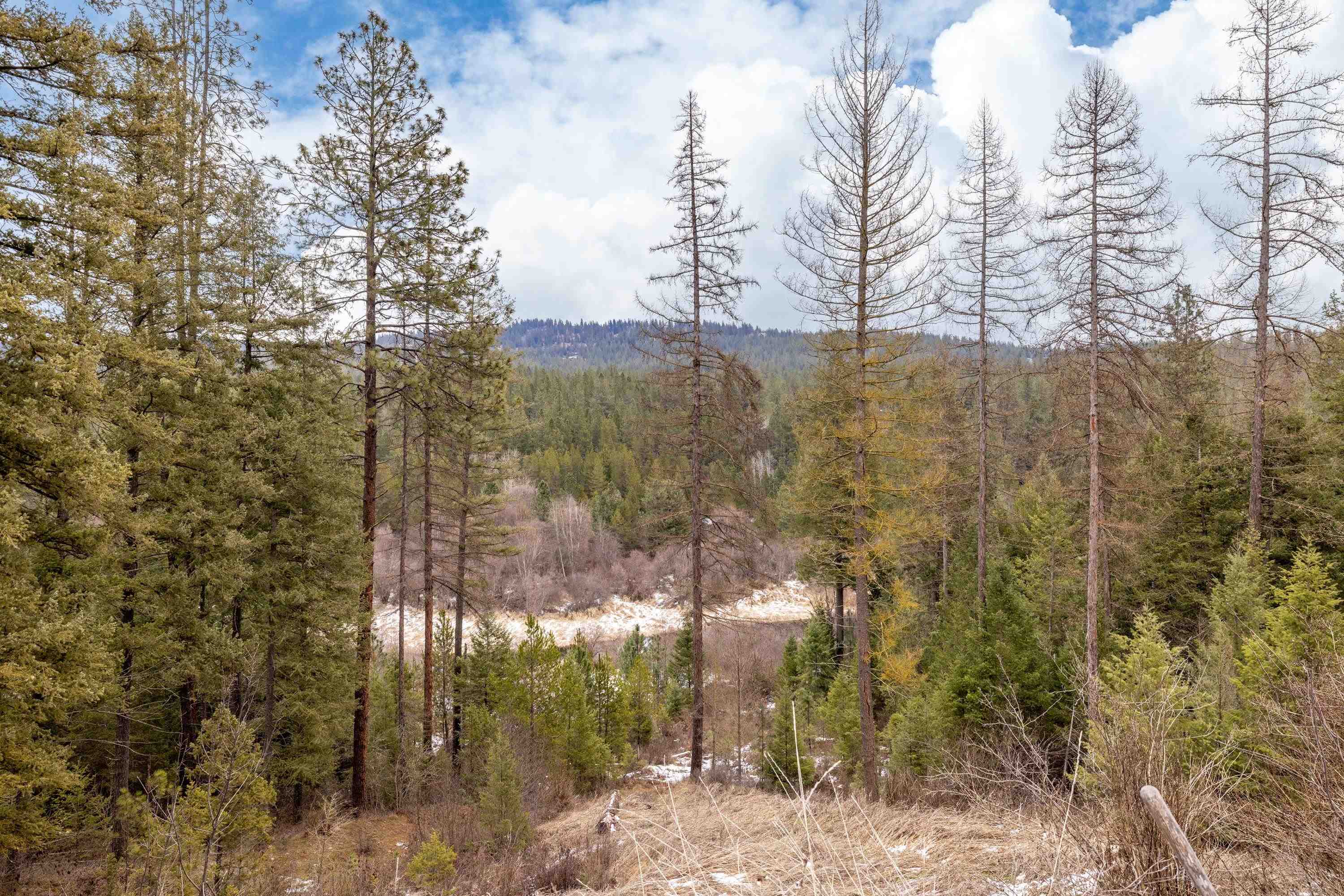 32410 North Ridge Road Chattaroy, WA 99003 - Photo 11 of 49