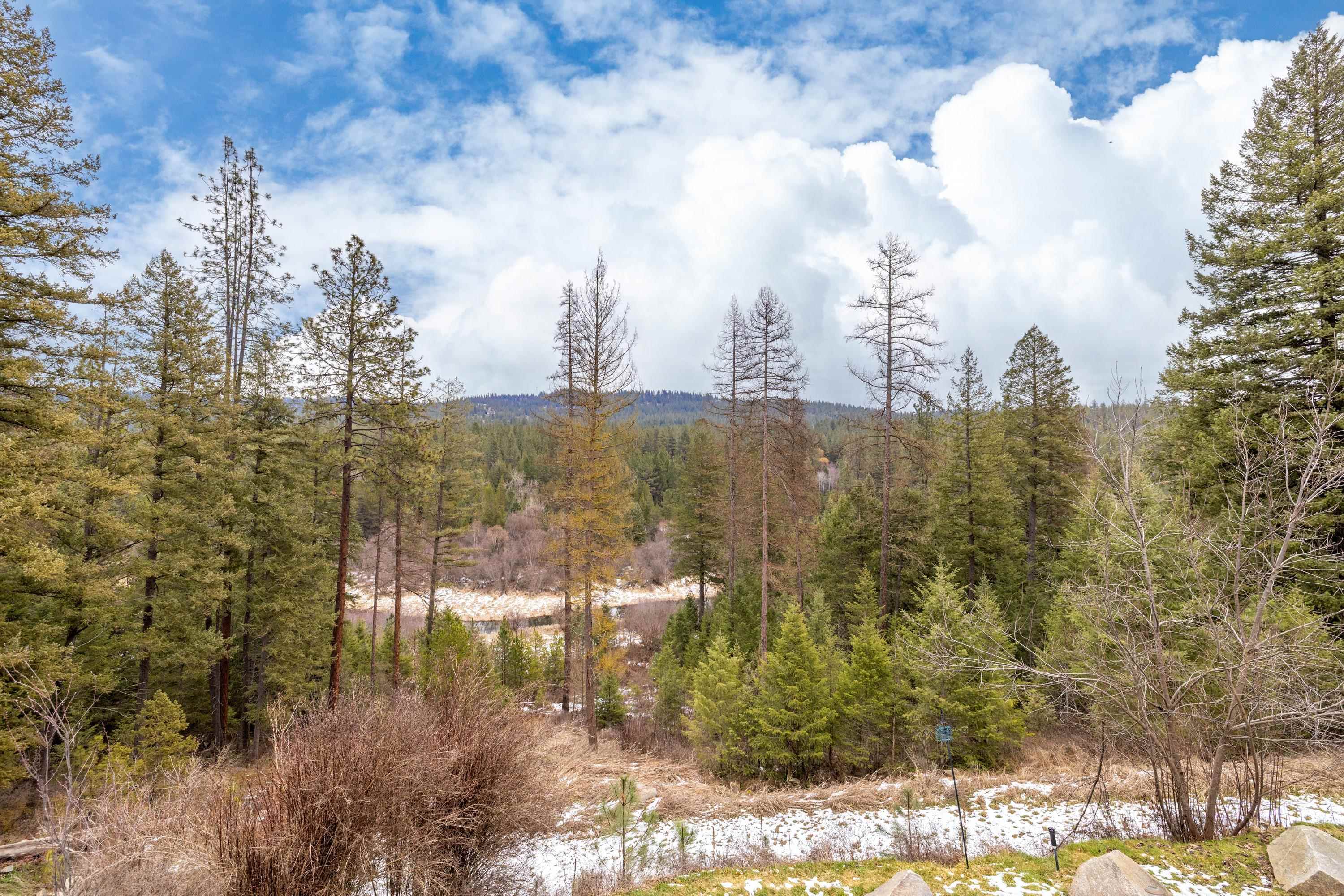 32410 North Ridge Road Chattaroy, WA 99003 - Photo 17 of 49