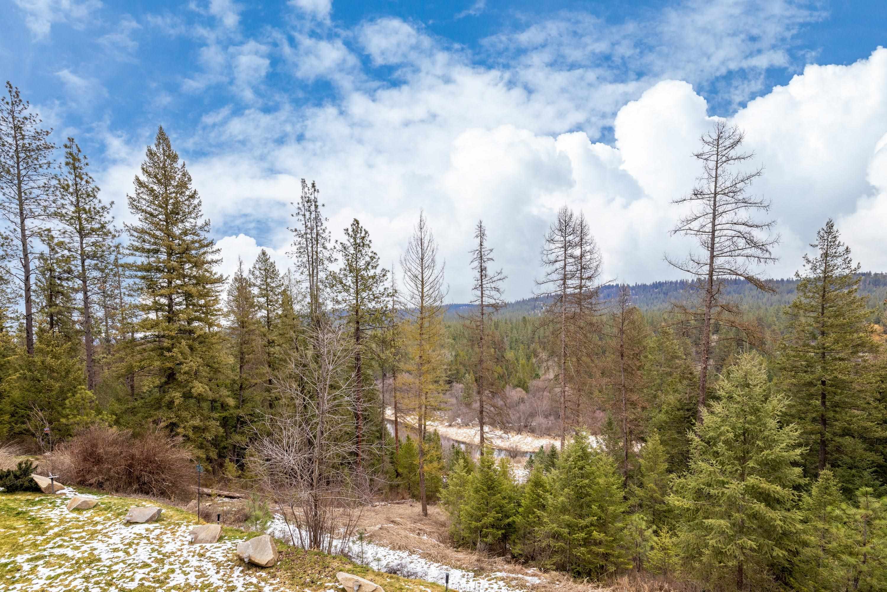 32410 North Ridge Road Chattaroy, WA 99003 - Photo 19 of 49