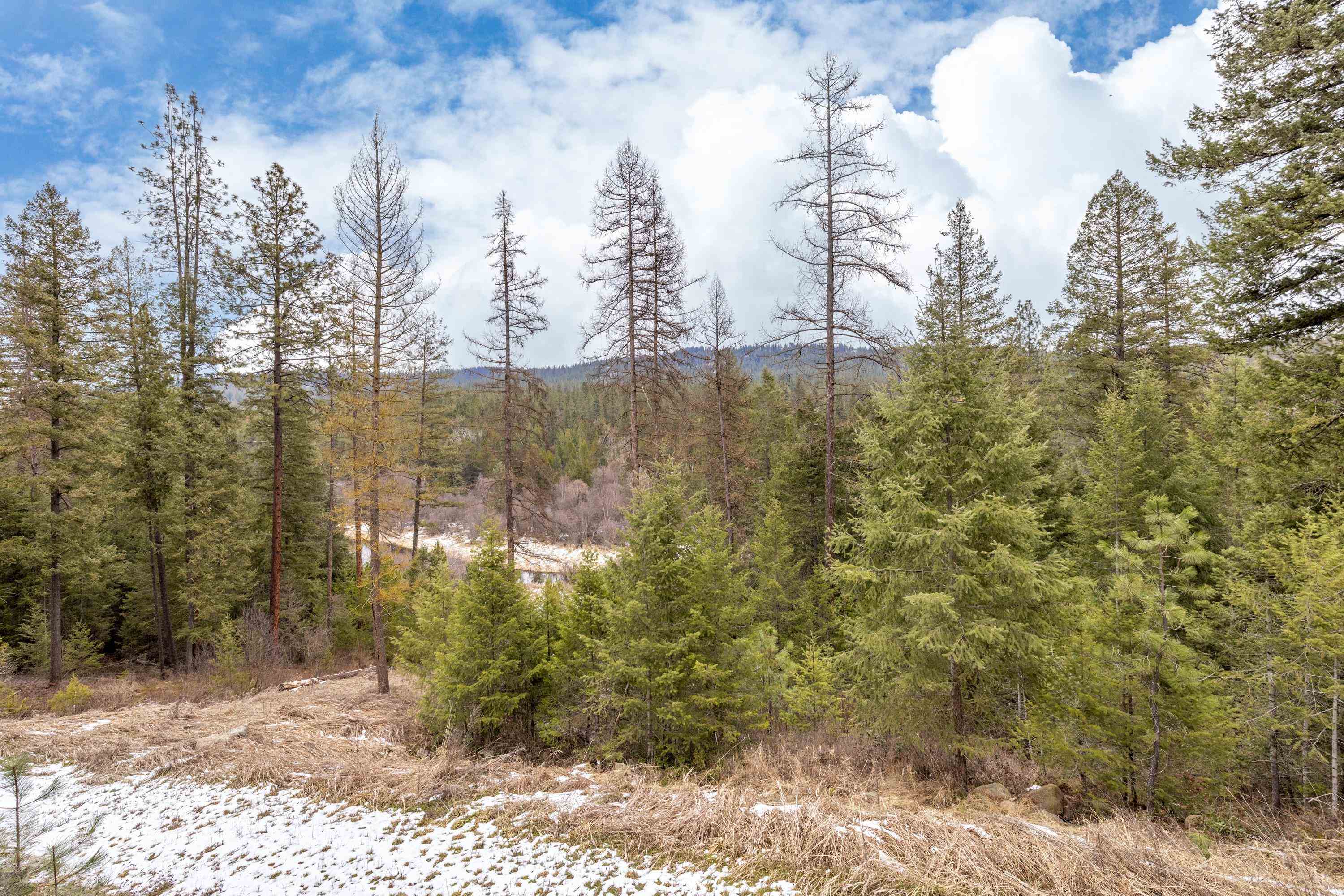 32410 North Ridge Road Chattaroy, WA 99003 - Photo 8 of 49