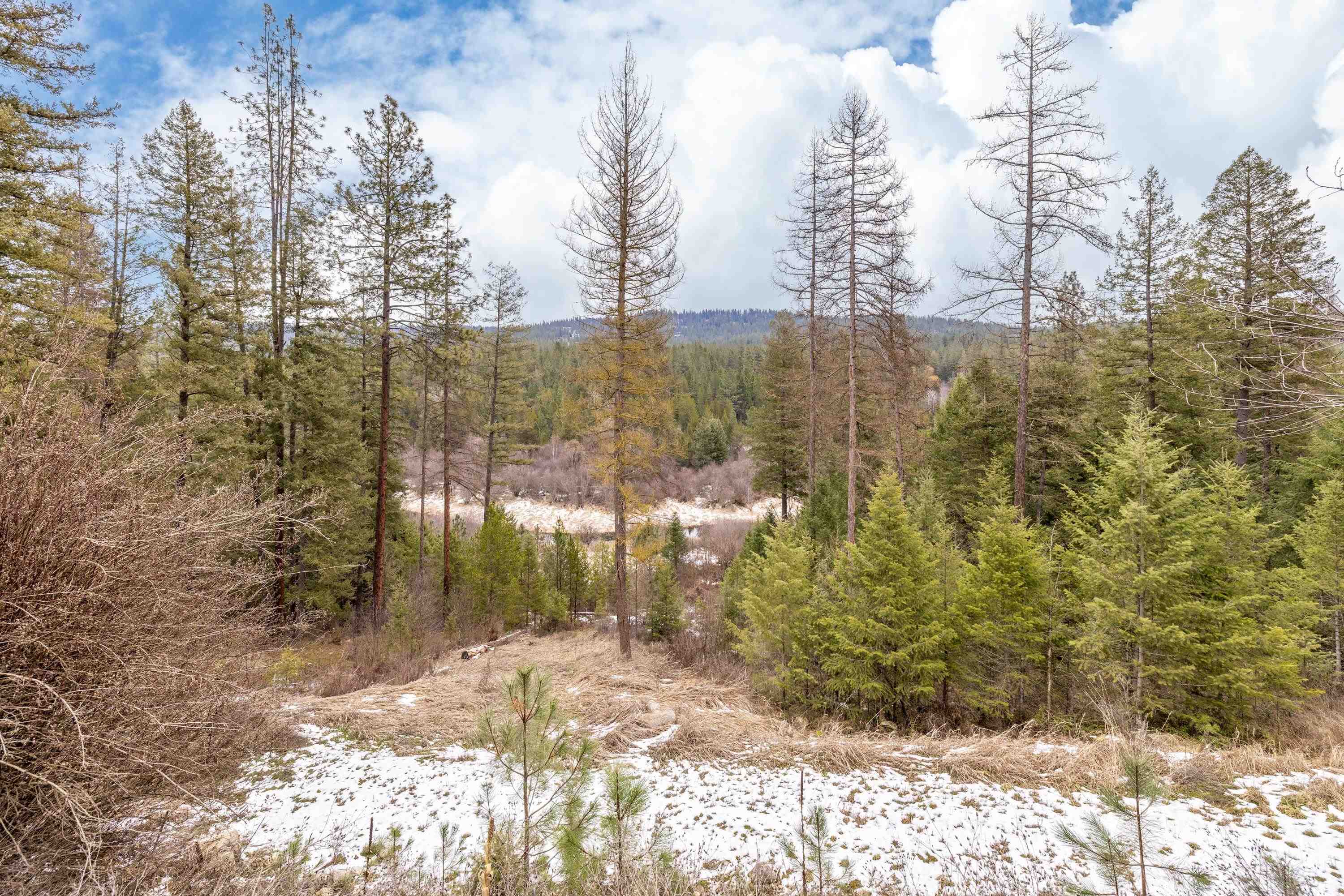 32410 North Ridge Road Chattaroy, WA 99003 - Photo 9 of 49