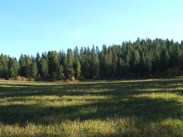 0 Day Mt Spokane Road, Unit A Mead, WA 99021 - Photo 1 of 1