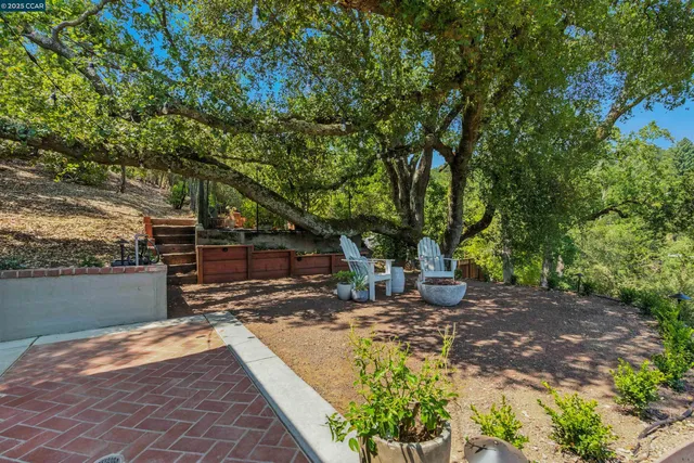 a view of a backyard with large trees