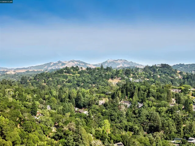view of a green field