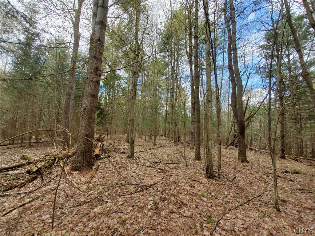 6627 Hodge Road Watson, NY 13367 - Photo 1 of 1