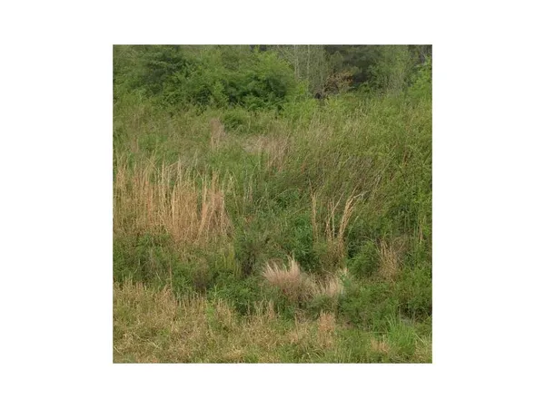 $45,000 | 22 Hampton Farms Trail, Jasper, GA 30143