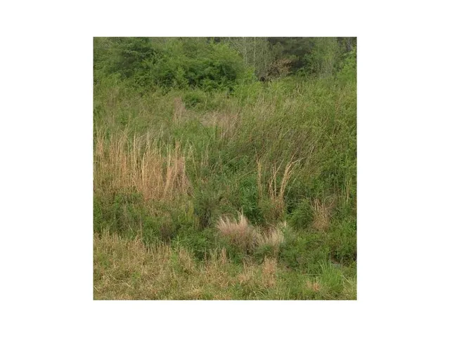 $45,000 | 22 Hampton Farms Trail, Jasper, GA 30143