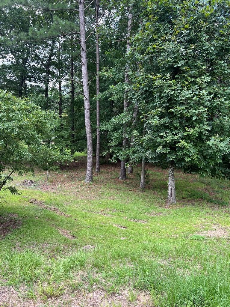 1051 Myrtle Drive Santee, SC 29142 - Photo 2 of 2 IMG_8313