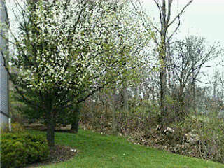 31 Springhouse Drive, Unit 31 Cold Spring, KY 41076 - Photo 6 of 6 Gallery Image 6