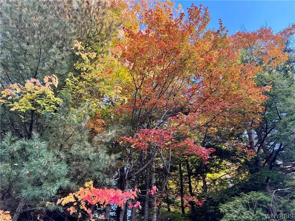 $569,000 | 17 Smith Lane, Williamstown, NY 13302