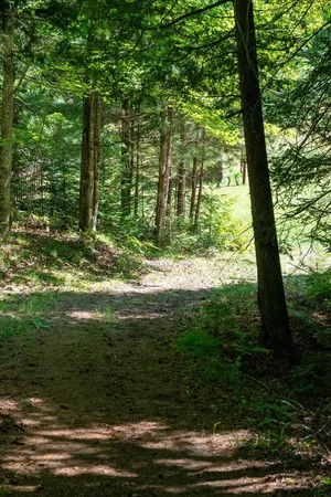 $3,000,000 | 1 Ramsey Island, Michigamme, MI 49861