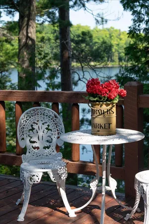 $3,000,000 | 1 Ramsey Island, Michigamme, MI 49861