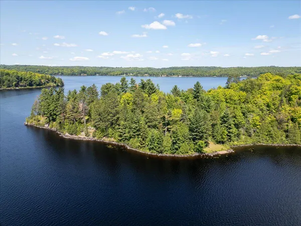 $3,000,000 | 1 Ramsey Island, Michigamme, MI 49861