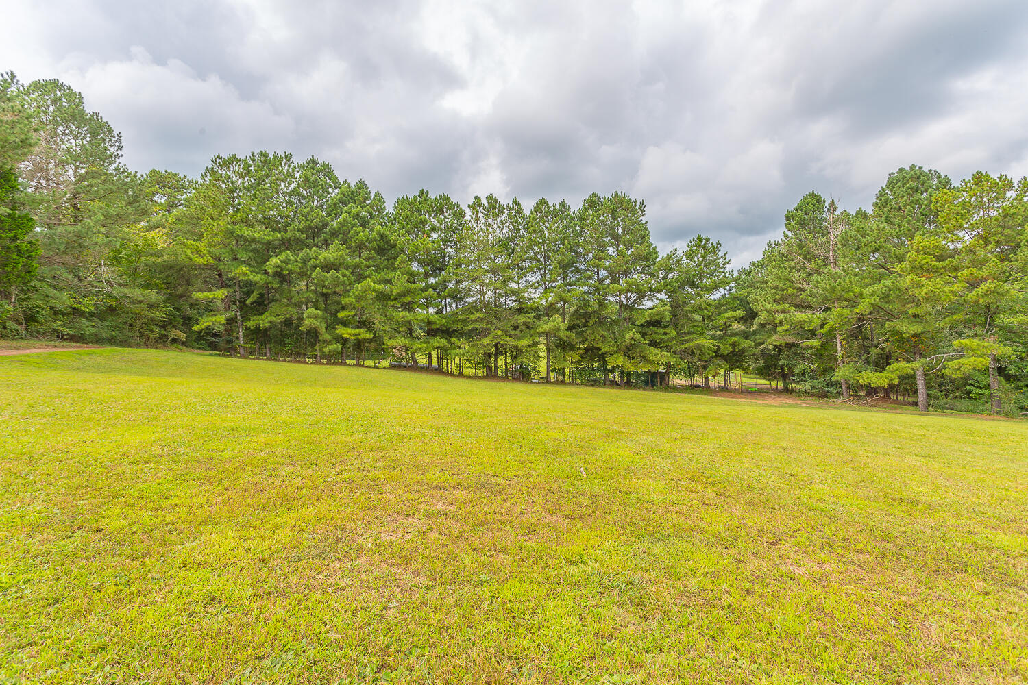 622 Boss Road Chickamauga, GA 30707 - Photo 62 of 101 622 Boss Road HD -12