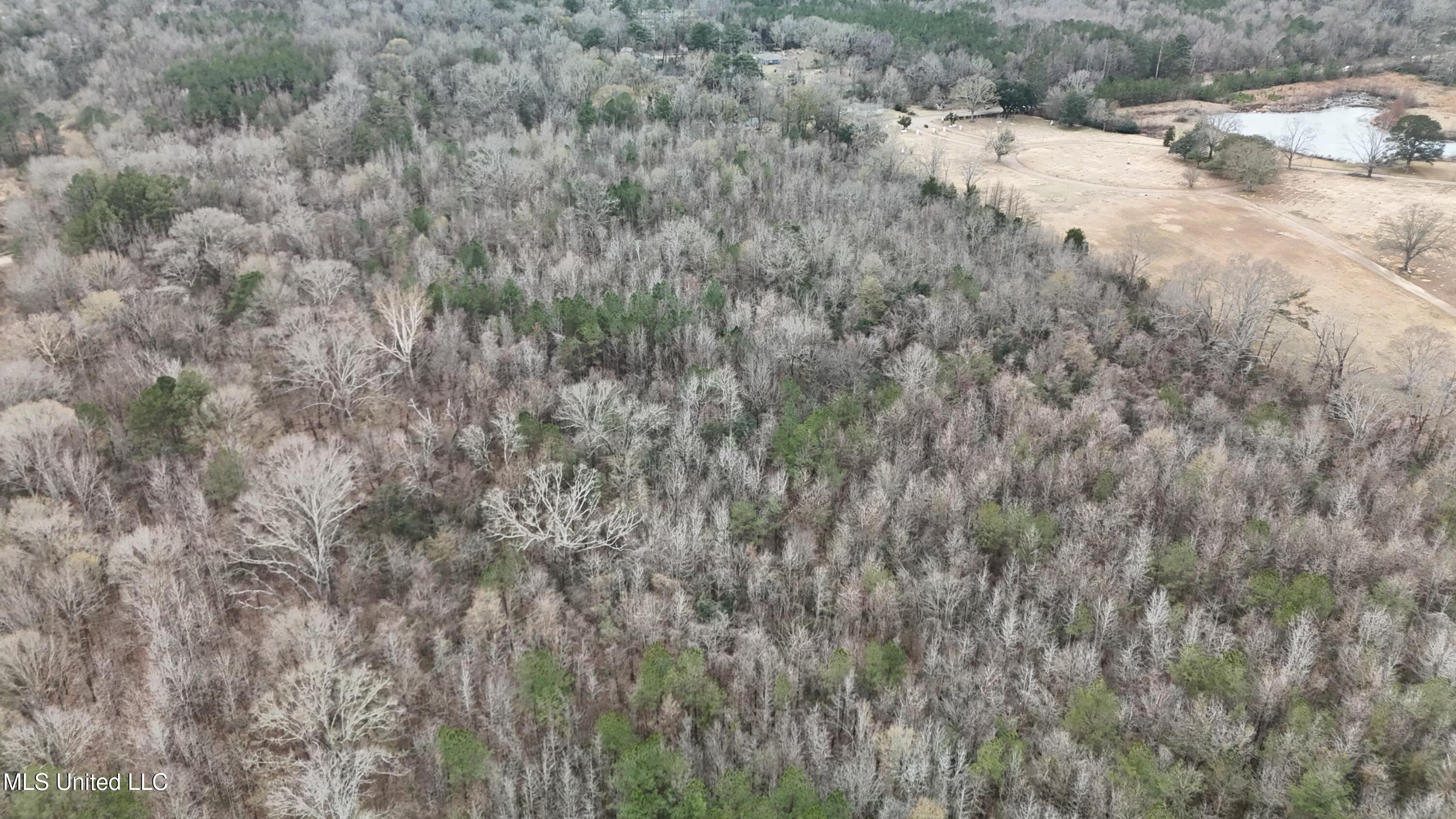 1 McCluer Road Jackson, MS 39212 - Photo 12 of 16 tempImagedrQdU8