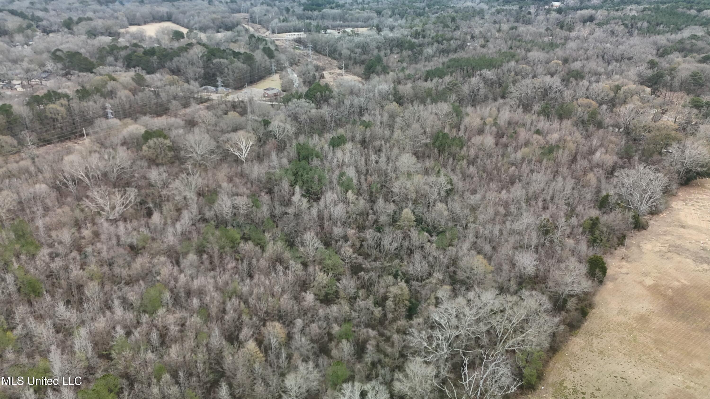 1 McCluer Road Jackson, MS 39212 - Photo 13 of 16 tempImageBEU6PS