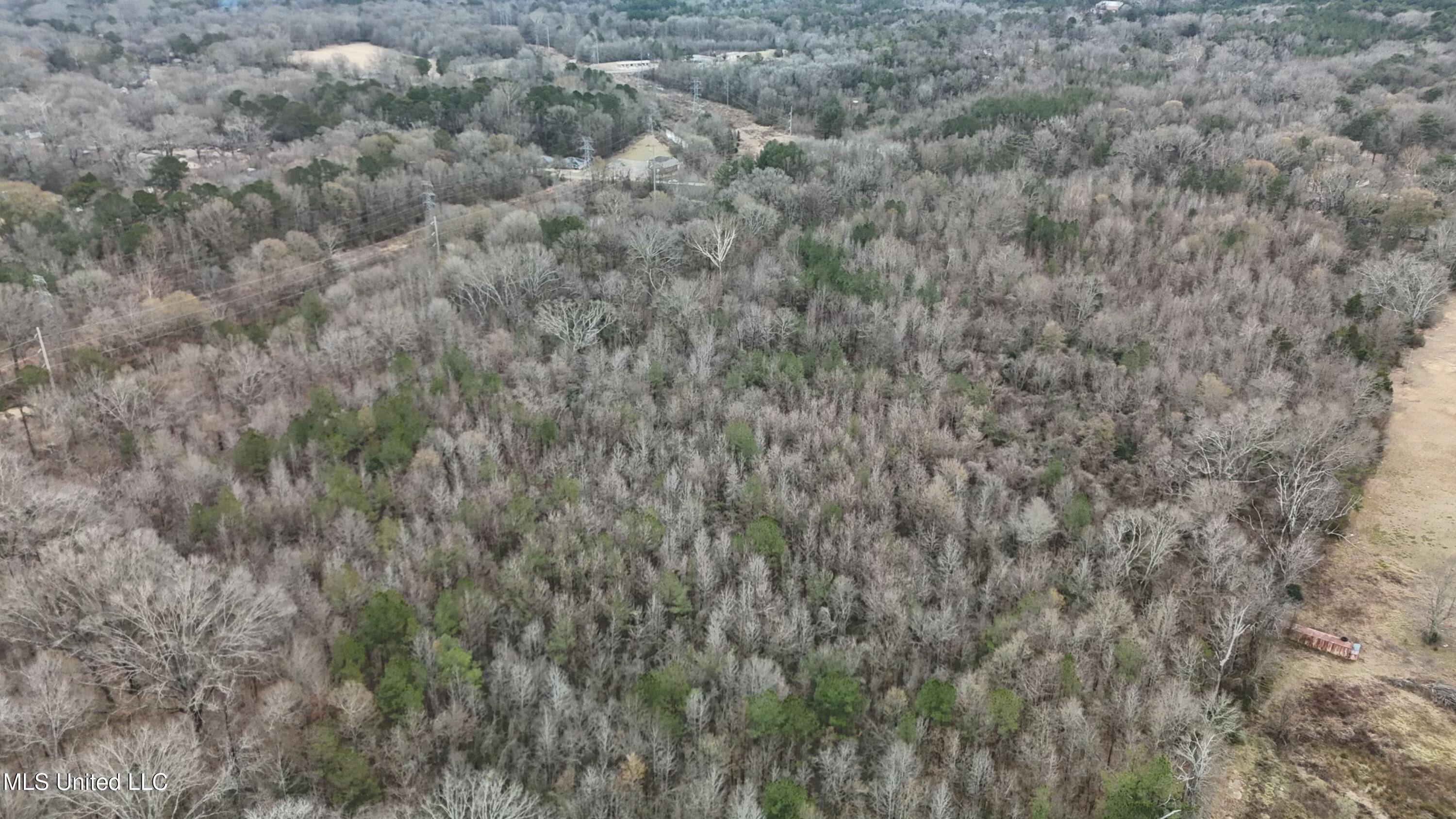 1 McCluer Road Jackson, MS 39212 - Photo 14 of 16 tempImageligUYZ