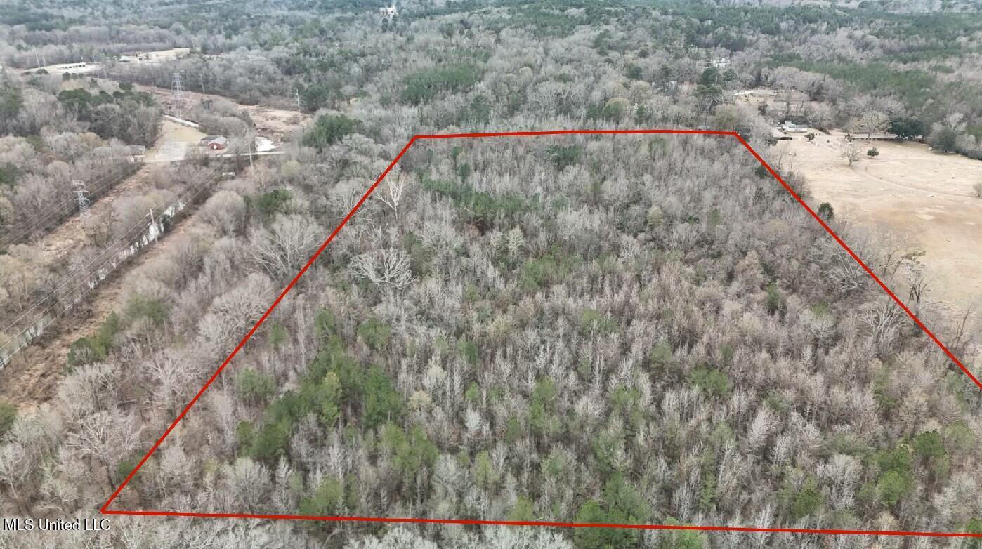 1 McCluer Road Jackson, MS 39212 - Photo 3 of 16 tempImageHn6adH