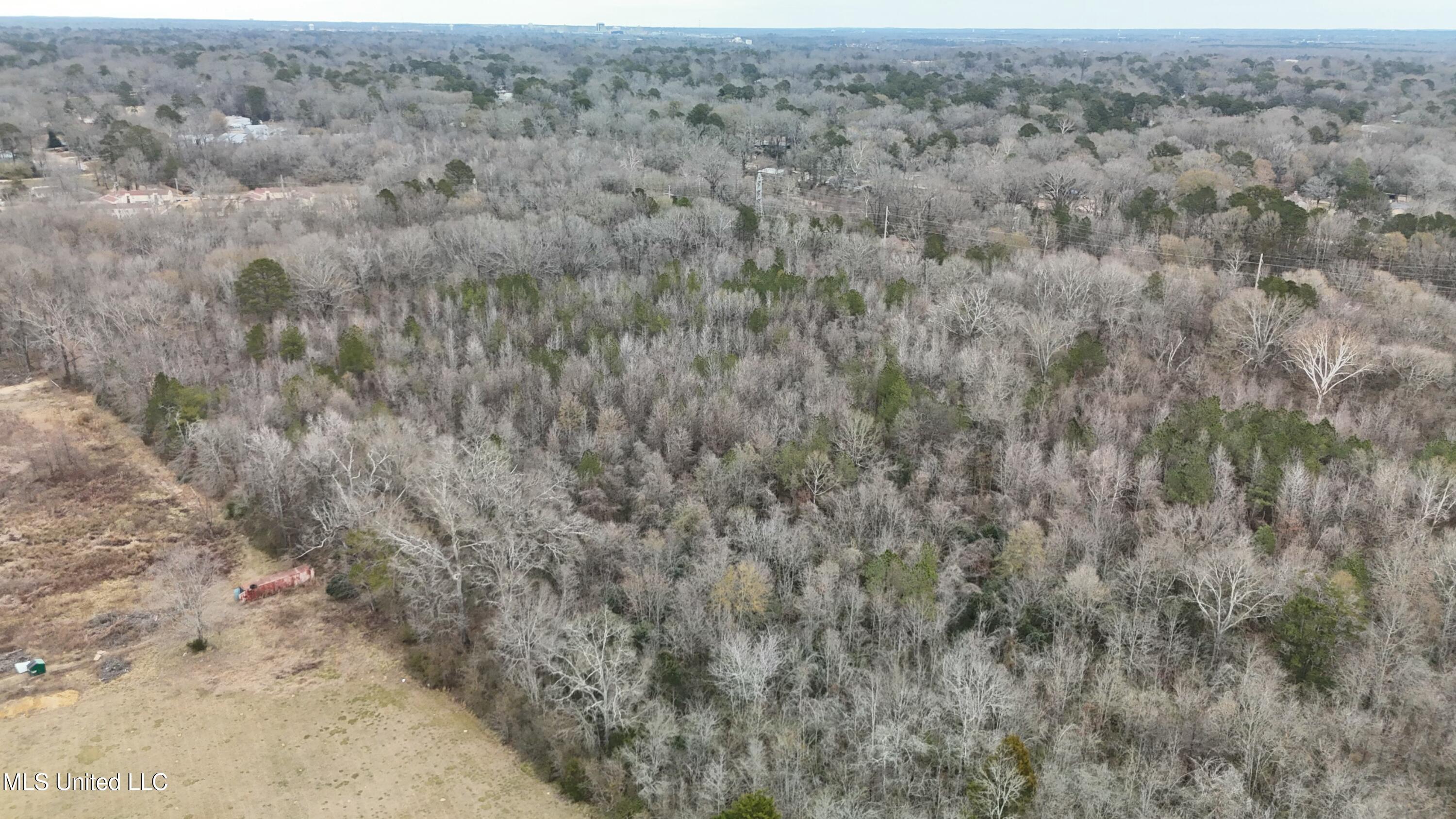 1 McCluer Road Jackson, MS 39212 - Photo 5 of 16 tempImagex6bJBF