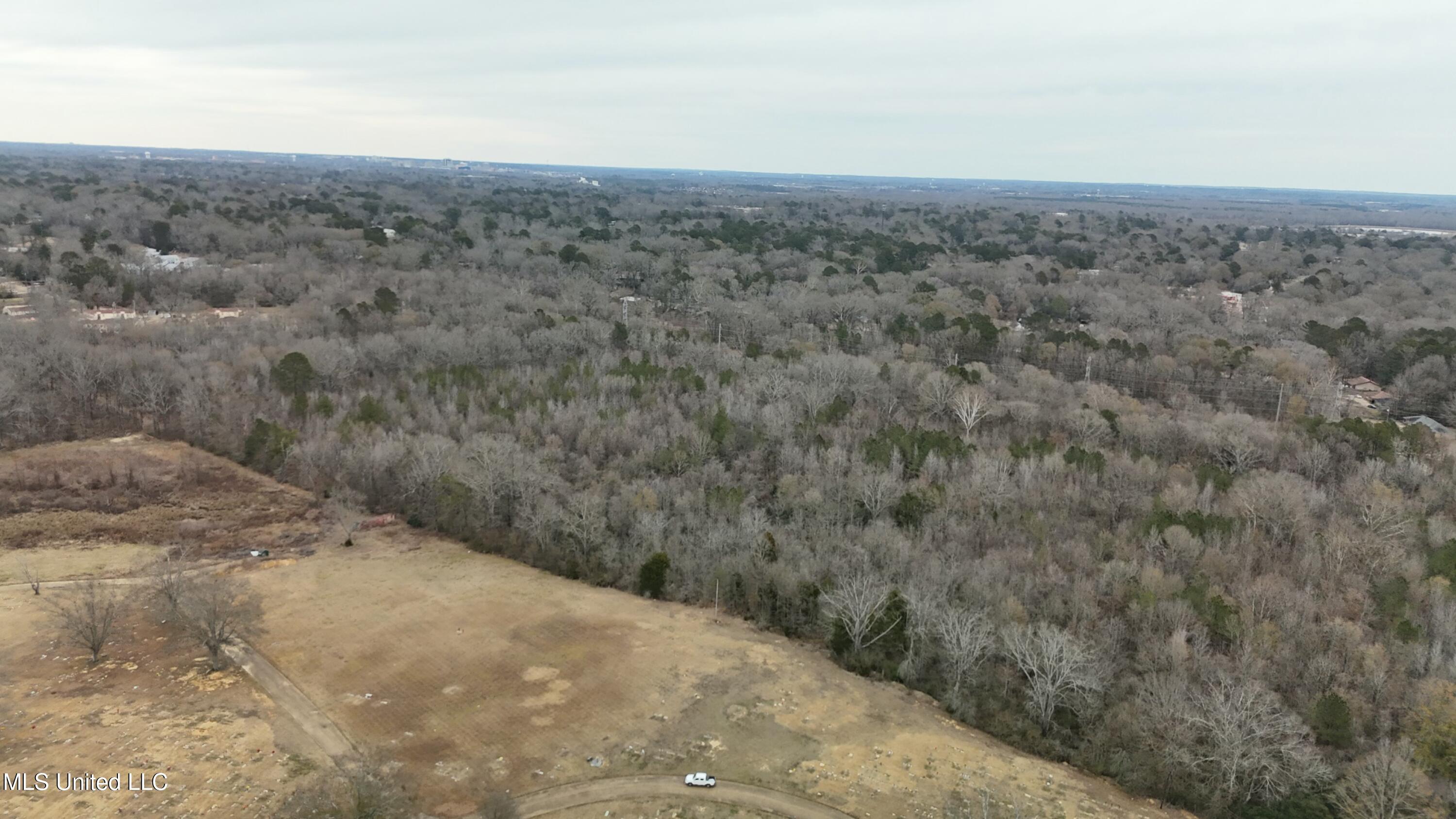 1 McCluer Road Jackson, MS 39212 - Photo 6 of 16 tempImageMSEWIf
