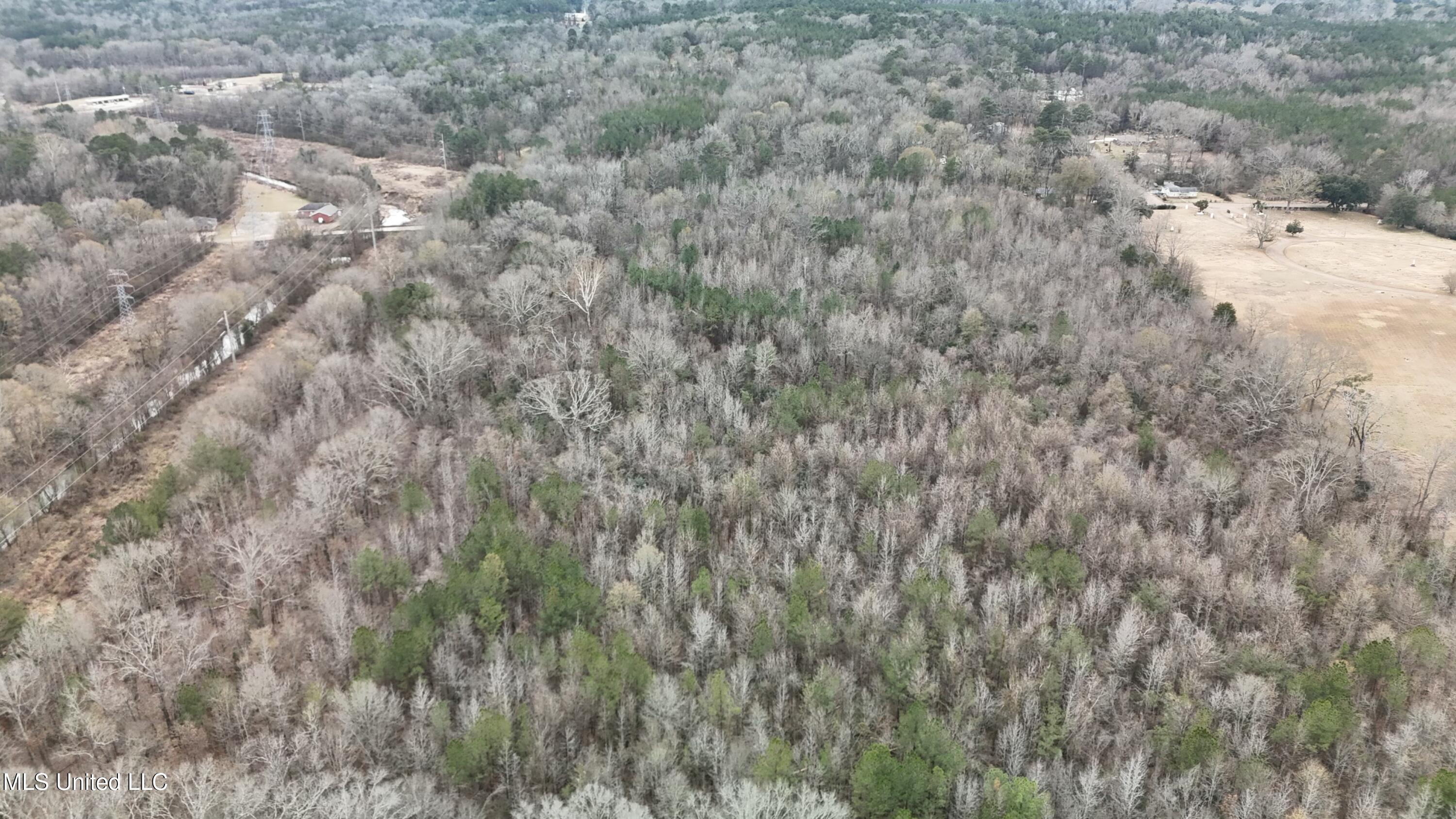 1 McCluer Road Jackson, MS 39212 - Photo 10 of 16 tempImageOiPgJ5