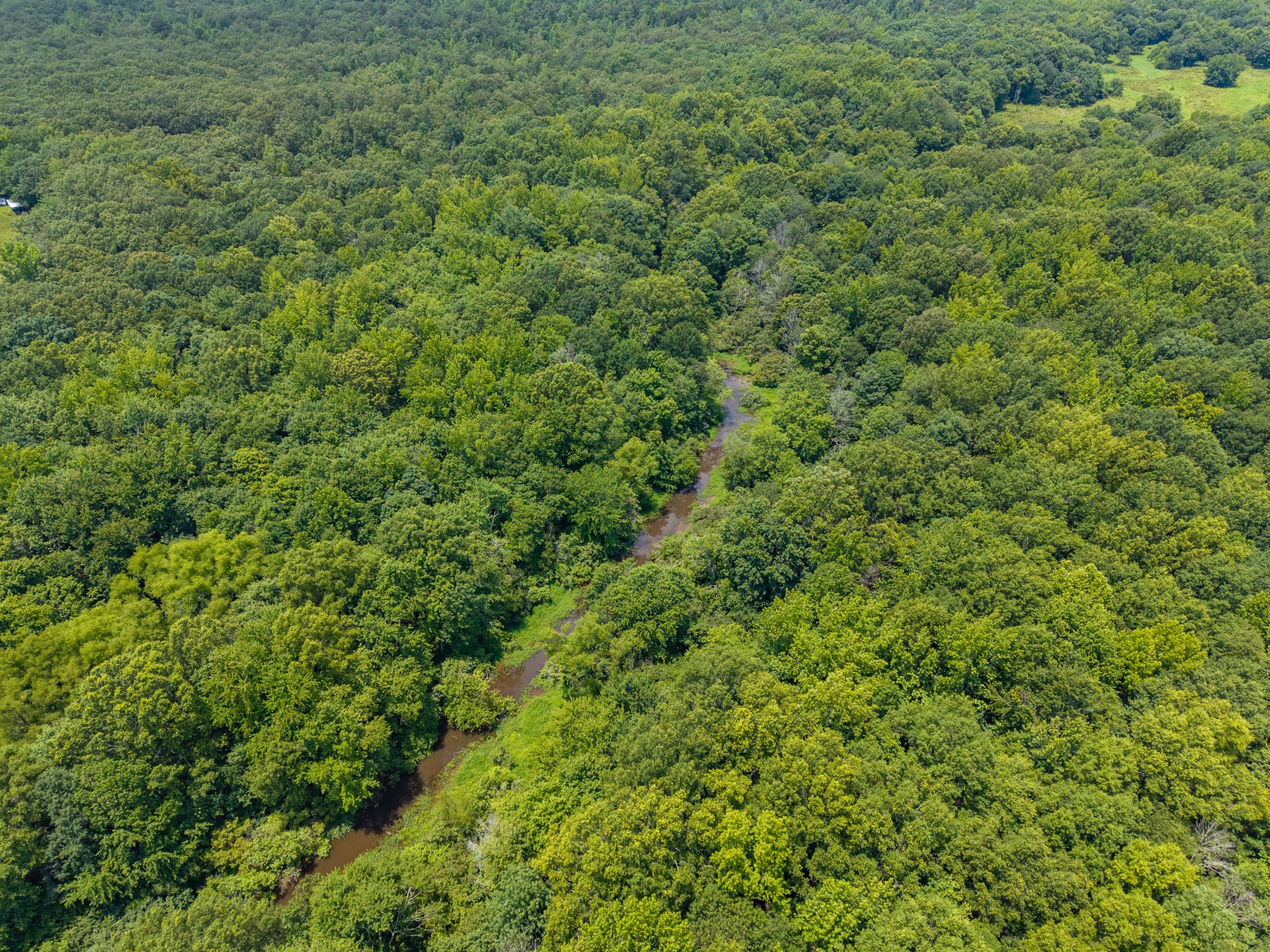 0 Old Railroad Bed Road Taft, TN 38488 - Photo 3 of 9