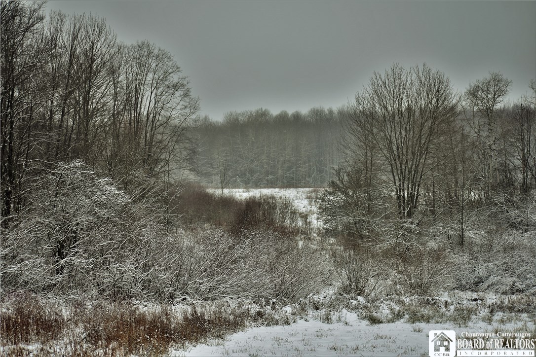 0 Beck Road West Jamestown, NY 14701 - Photo 1 of 1