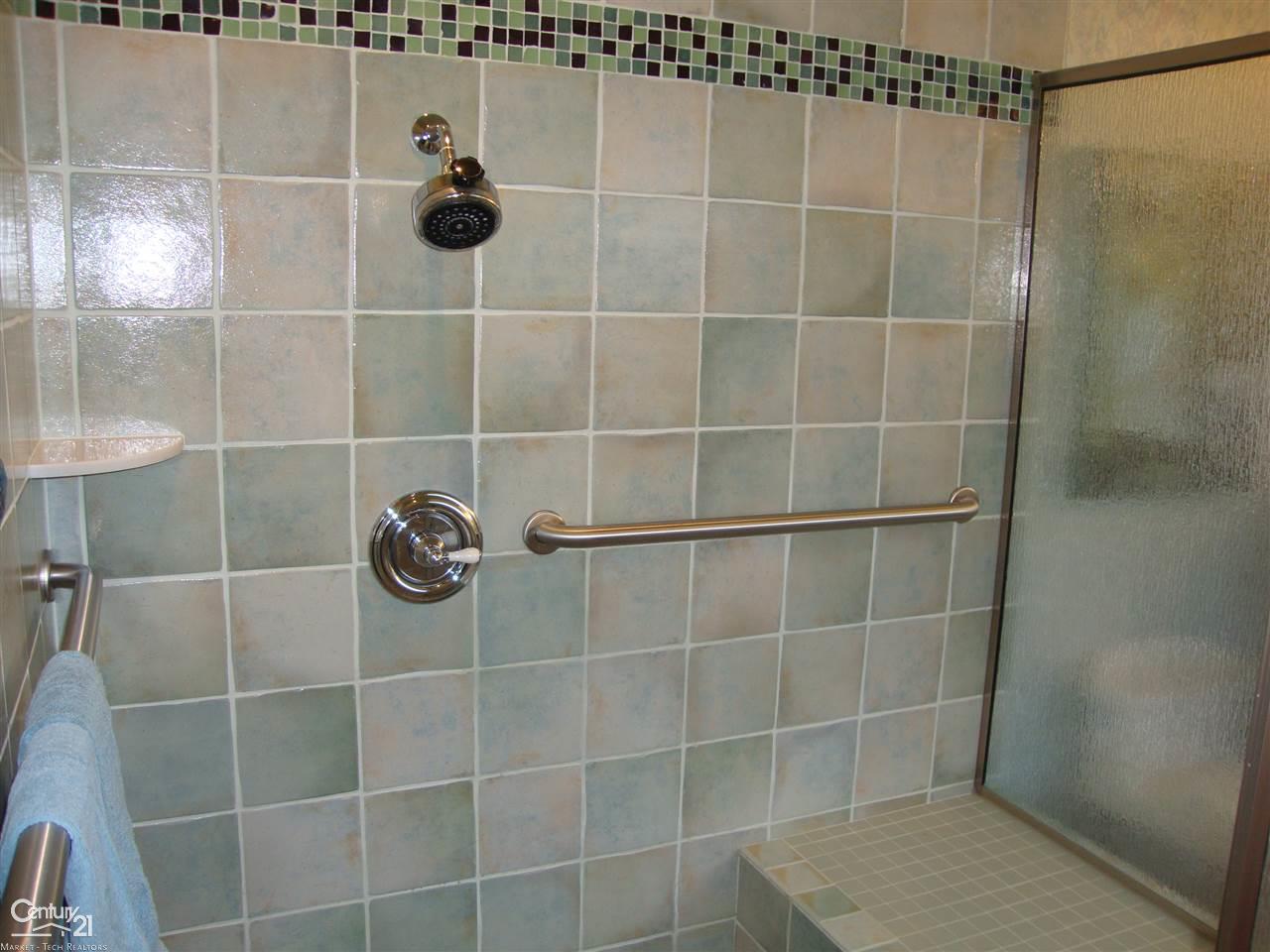 73601 Omo Road Armada, MI 48005 - Photo 34 of 72 Generous Walk-in Shower