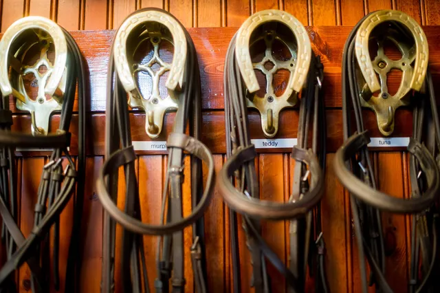 $2,800,000 | 14314 Towne Trail, Green Oaks, IL 60048