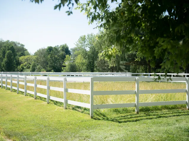 a view of a field with a tree