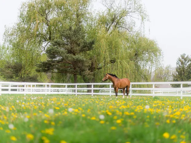 $2,800,000 | 14314 Towne Trail, Green Oaks, IL 60048