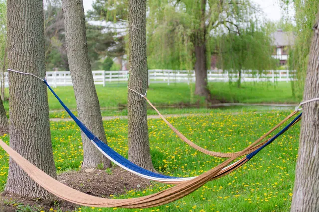 a view of backyard with a car parked