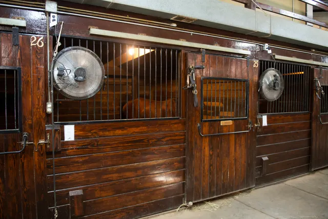 a room with gym equipment