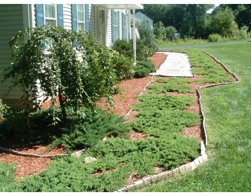 97 Carroll Hill Road Charlton, MA 01507 - Photo 2 of 14