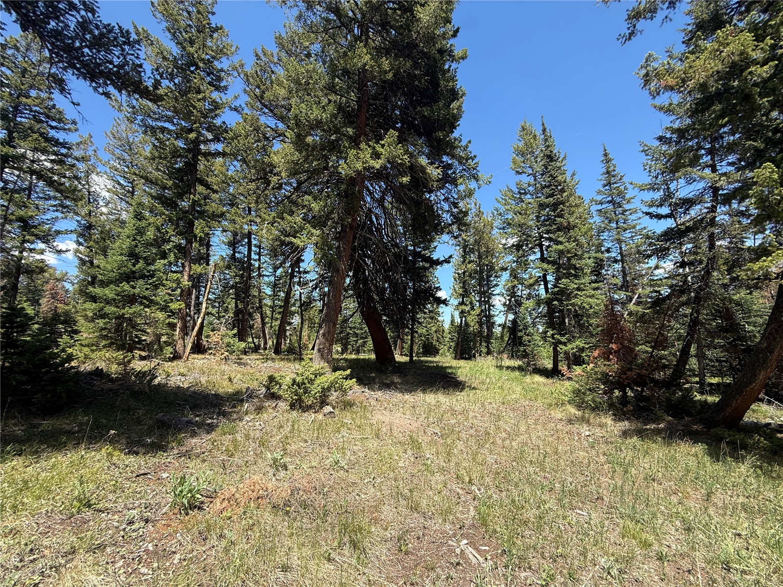 Tbd Spring Creek Ranch Road Silverthorne, CO 80498 - Photo 29 of 48