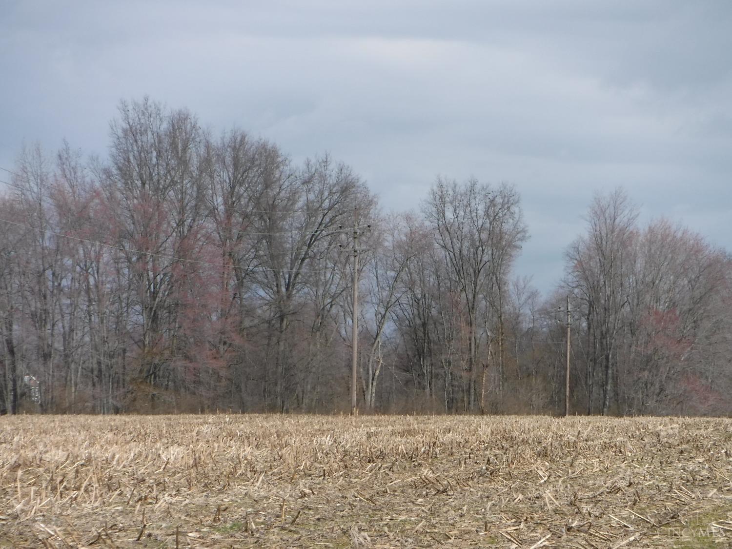 B Spring Grove Road Bethel, OH 45106 - Photo 4 of 5